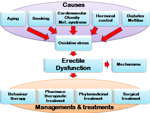 Possible causes, managements and treatment strategies of Erectile Dysfuncti...