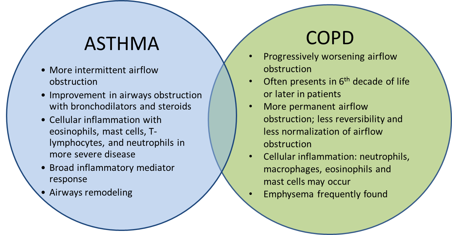 chronic-obstructive-pulmonary-disease-market-size-share-and-forecast