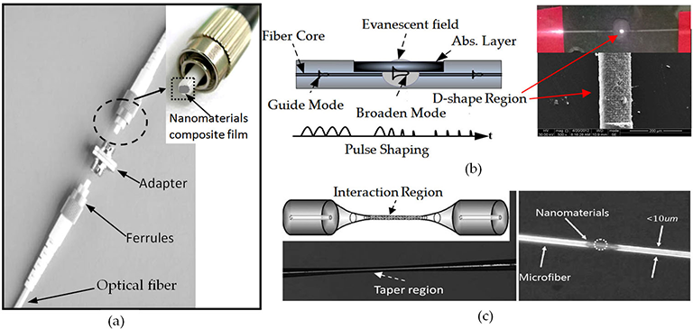(a), evanescent field interaction of the D‐shaped fiber (b), and tapered fi...